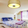 Living Room Bedroom Study Kid's Room Lighting Large Bamboo Flush Mount Creative Ceiling Light