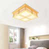 Simple LED Ceiling Light Living Room Bedroom Study Lighting Modern Special Ceiling Light