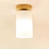 Round Wooden LED Ceiling Light Living Room Bedroom Balcony Aisle Lighting Nordic Cylinder Ceiling Light