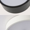 LED Ceiling Light Flush Mount Modern Simple Metal + Acrylic Baking Paint LED Ceiling Light Energy Saving