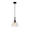 Gourd Glass Hanging Light Modern Iron Pendant Light