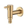 Stainless Steel Supercharged Bidet Faucet in Brushed Gold