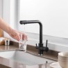 Filtering Kitchen Tap Modern Black Kitchen Faucet Dual Spouts