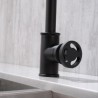 Black Kitchen Faucet with Single Handle in Industrial Style