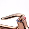 Optional 4 Colors Modern Rotatable Brass Kitchen Faucet Kitchen Sink Tap