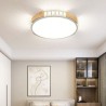 LED Ceiling Light Minimalist Flush Mount Bedroom Lighting Fixture