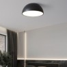 Creative LED Ceiling Cover Light For Bedroom Loft Modern Half Dome Ceiling Light