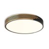 For Bedroom Living Room Dining Room Modern LED Flush Mount Ceiling Light Circle Lighting Lamp