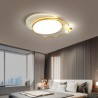 For Hotel Bedrooms, 36W LED Flush Mount Ceiling Light with Remote